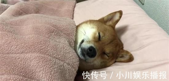 没有电热毯的被窝好冷怎么办?教你一招,被窝立马暖烘烘!