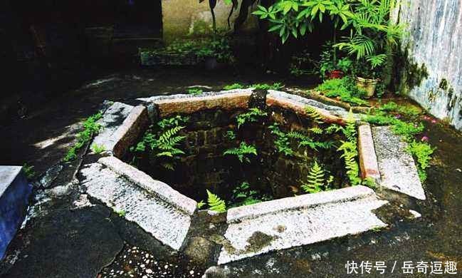 古人往井里放2只小乌龟,到底是为什么?看完真佩服古人的IQ!