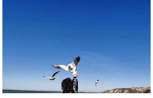 道系|Hey Kong，20年后我在小紅書上收到了你的回信