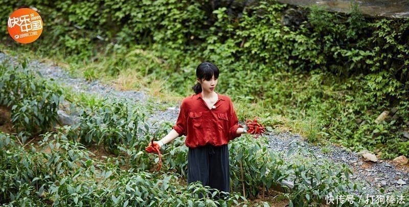 黄磊老师 《向往5》首期节目就迎来“关系户”黄磊老师亲自带成员露脸