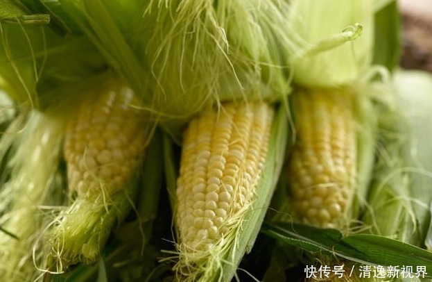 玉米须功效十分惊人,降压、降脂、降糖、还利