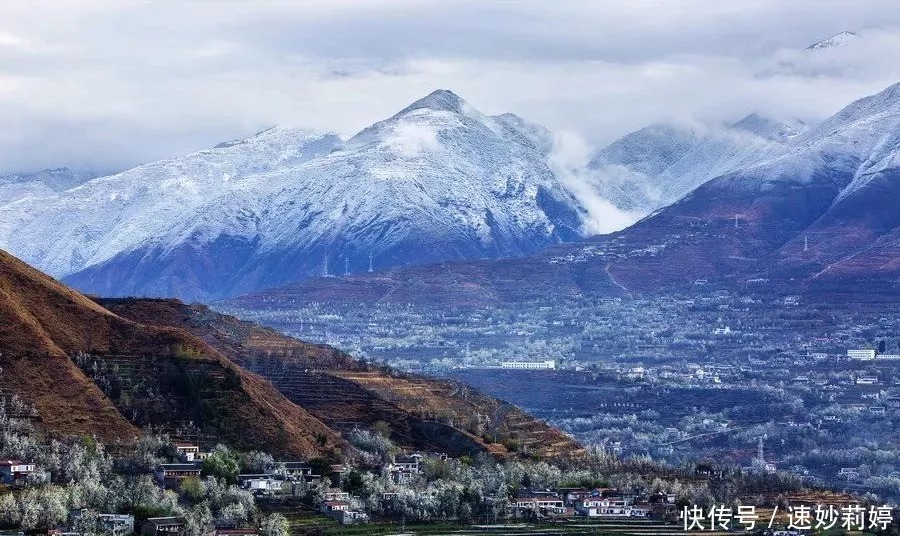 格桑花|春天，跟着花开去旅行，金川梨花白如雪