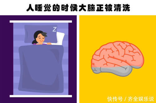 刘易斯|即便真正的学霸也未必知晓的9个有趣的冷知识