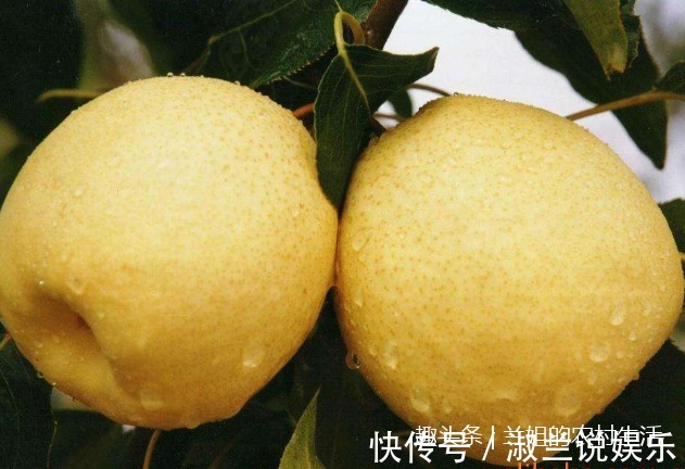 水果|想变美的女人要多吃这三种水果，美容补水，抗衰老！