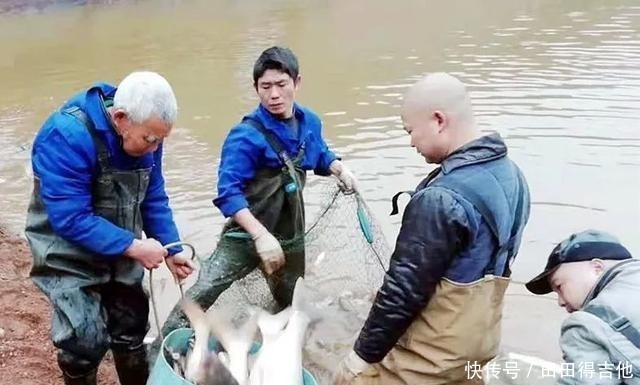 鲜!渌口这家新开的河边鱼店不容错过!