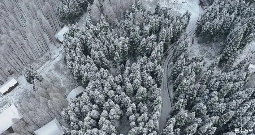 没有门票！无需登山！1天打来回的冷门耍雪地