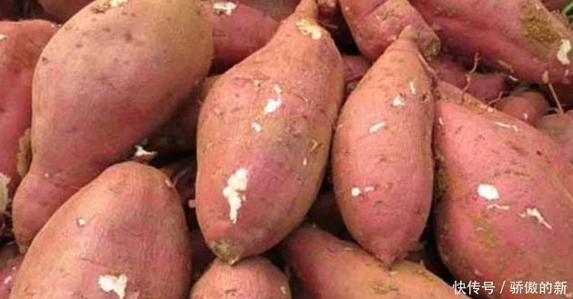 医生|每天拿红薯当早餐,身体发生的4个“变化”,让医生都惊喜