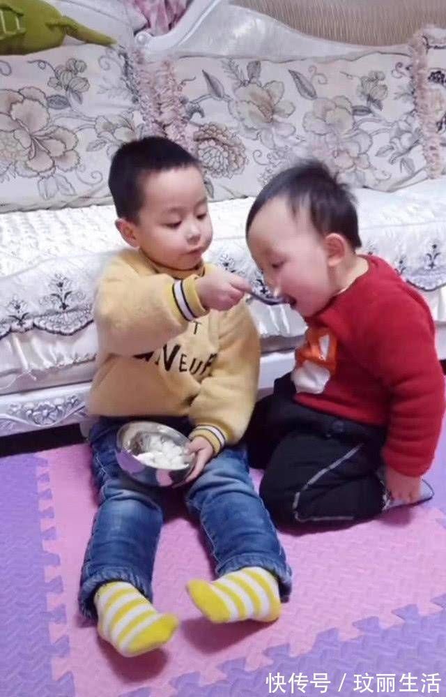 赡养|哥哥吃独食,弟弟讨食的举动萌化了,网友:混口吃的不容易啊