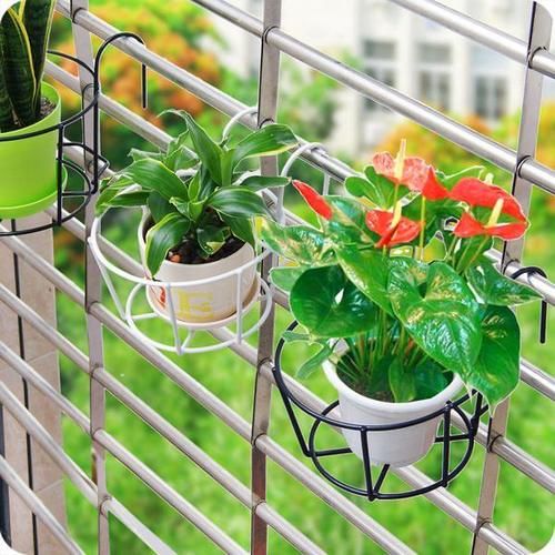 养花，不懂得规避这9个误区，难怪盆栽一直饱受摧残