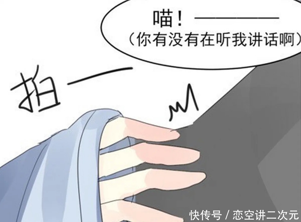 对方|轻松一刻:诸葛亮变成“猫咪”后,赵云整天心事重重,怀念对方人类的模样