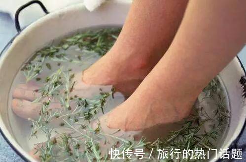 野草|不起眼的野草，却是腰间盘突出的救命草，不妨了解一下