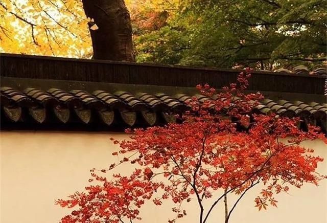 奇文|千古奇文《心相篇》20句话,看透人性,诠释人生,百读不厌