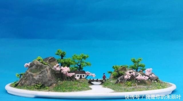 养花|大爷用石头、盘子来养花,布局造景,这就是山水盆景的魅力!