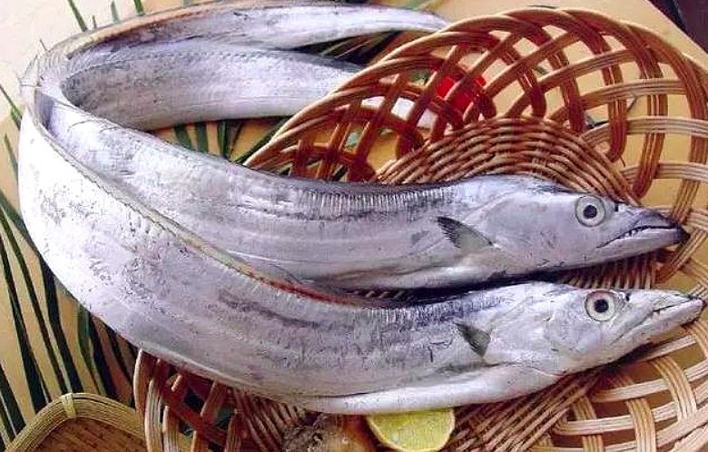 dh秋天,有钱没钱,5种海鱼记得给孩子吃,富含DHA,孩子头脑更聪明!