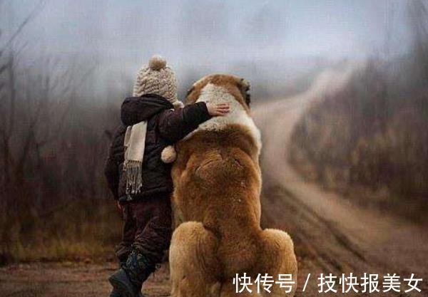 孩子|高智商的孩子,一生下来就有这4个特征,连父母也跟着增“福气”