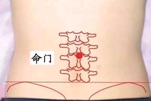 命门穴|中医为你解密，阳气为什么可以治百病？3招补足阳气，肾会感激你