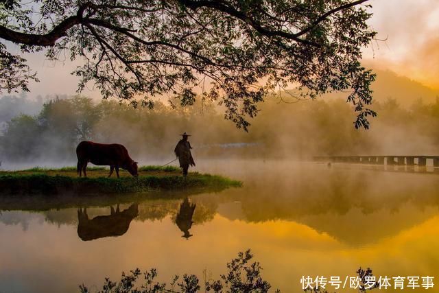 纵贯东西方世界的牛崇拜--最有魔力的年份:牛年