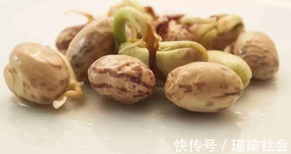 花生|生活小技巧：土豆，花生，红薯发芽后，到底还能不能吃？