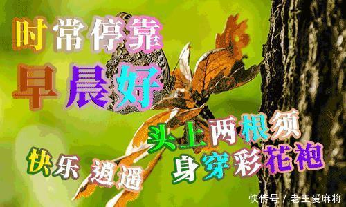 孤独|没有人喜欢孤独,但他们不喜欢失望