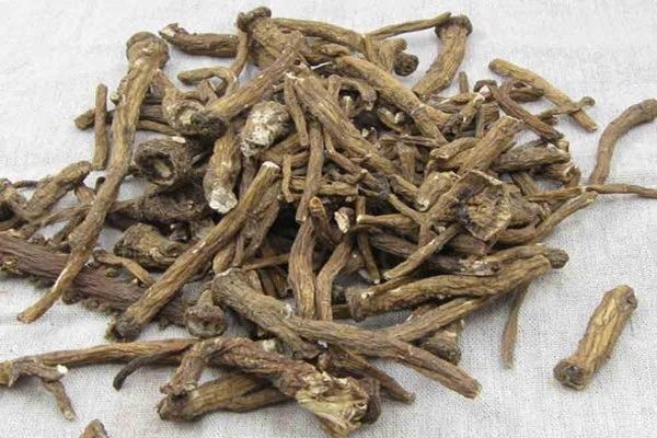 蒲公英水|蒲公英泡水和煮水哪个好这地方长的蒲公英不能吃,别傻傻不知!