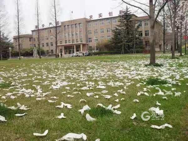 青岛|年底投用！青岛这里将再添一所学校！