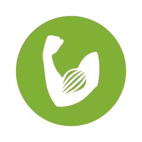 气血双补|97岁国医大师的长寿“法宝”,每天早餐吃3颗,稳血压、抗衰老!