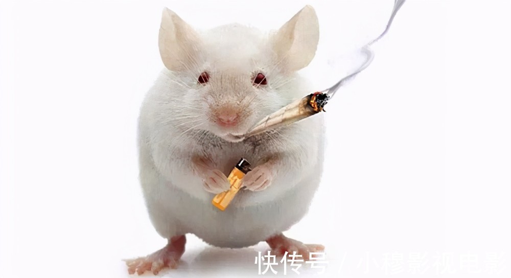 测量血压|能发现高血压,就已经及格了?医生提醒:高危人群最好半年测一次