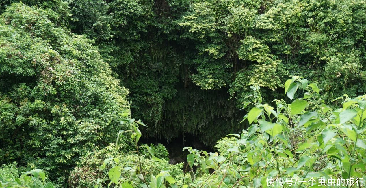 雷琼海口火山群世界地质公园，热带城市火山文化的博览园