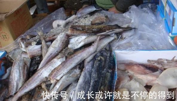 腌制|4种鱼,或是病菌的“仓库”,免费送也别要,发现了要立即扔掉
