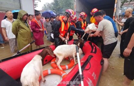 家禽|消防指战员营救村庄遇险婴儿，并安全转移村民的家禽