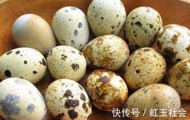 鹌鹑蛋|女性担心老的快,推荐4种食物,滋补身体、延缓衰老,早吃早好!