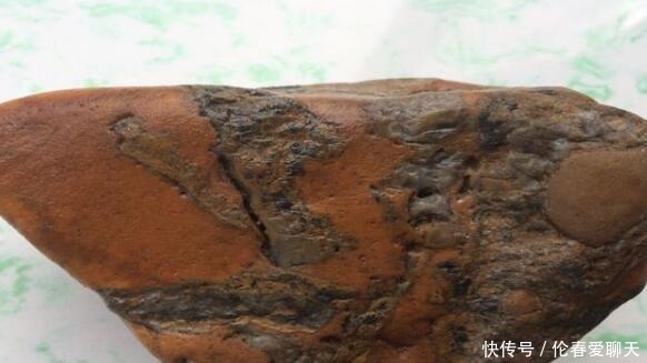 6年价格翻了一万倍,被文玩圈“炒高”后骤跌,现在按斤卖不掉