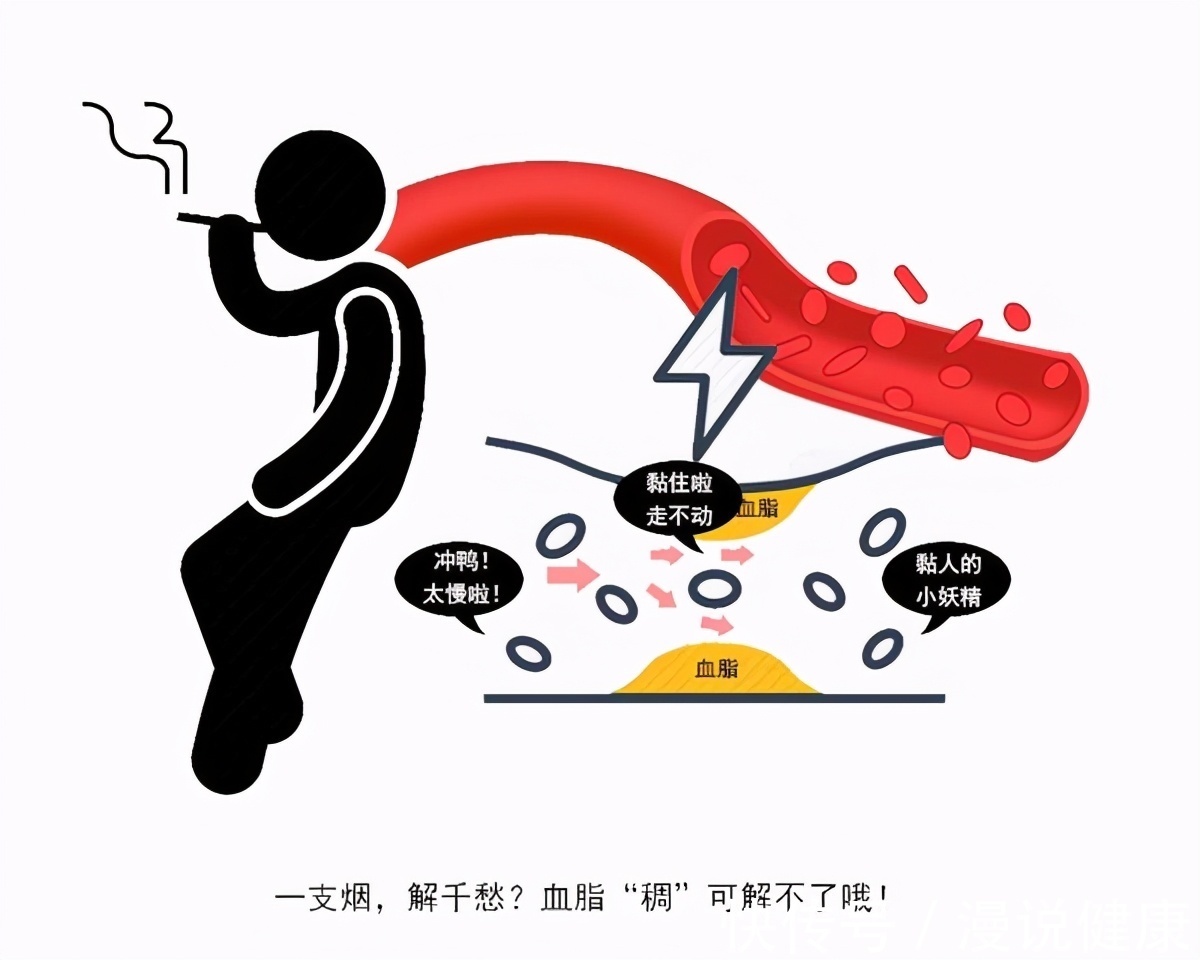 坏习惯|心血管疾病“祸根”不只是烟酒!5个坏习惯若你也有,早检查血管