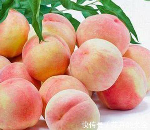 益气|女人爱美,常吃四种食物,补血益气,养护血管,预防血管疾病