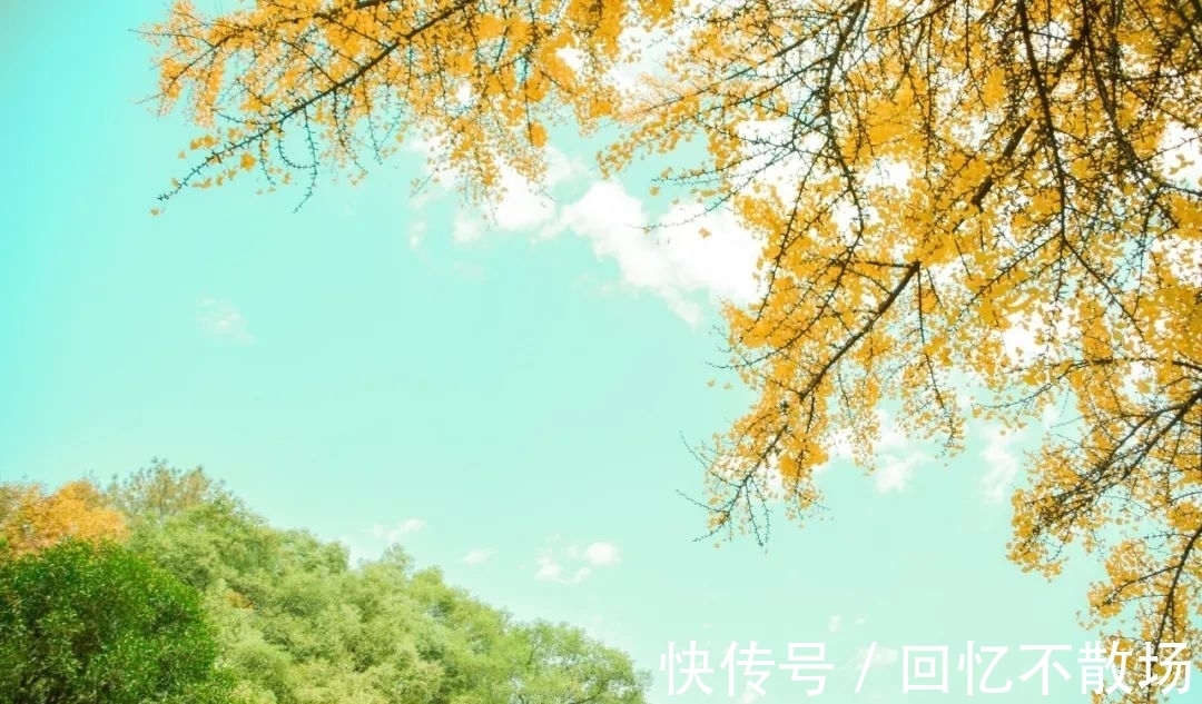 春夜!10首意境优美的小诗,美了眼,醉了心,惊艳了时光