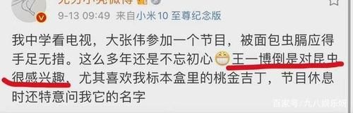 王一博|布布再次做客《天天向上》，永远都是下期更好看：王一博竟被嘲笑