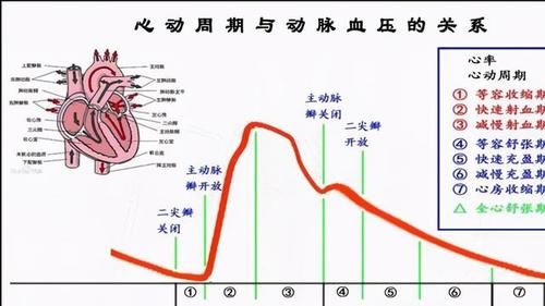高血壓只能一直吃降壓藥嗎?中醫也可以,專家教你中西結合降血壓