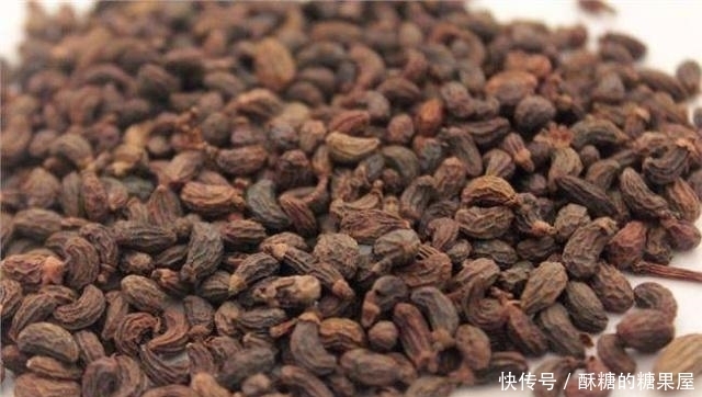 五味子|男人养生先养肾,常泡中药水喝,滋养肾脏,肾气会更足