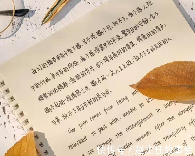 字体|高中女生“饺子”字体走红,网友:该饺圆润饱满,真想上去咬一口