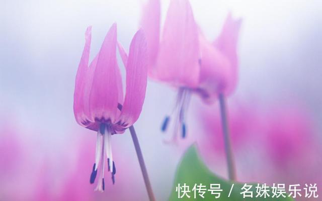 孩子|孩子,我不欠你的吃不吃读书苦,决定你以后靠脑子还是靠力气吃饭