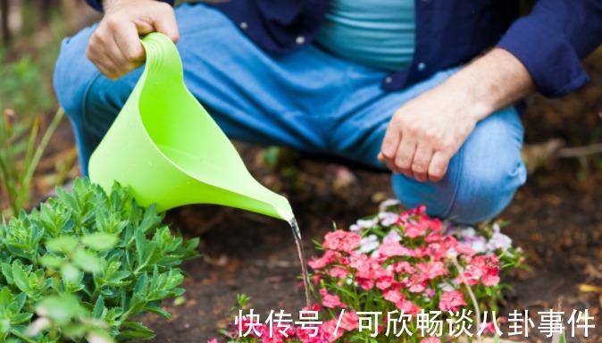 浇花草|还在傻乎乎的用这两种肥水浇花?“喂猪”都不配,浇一盆烂一盆