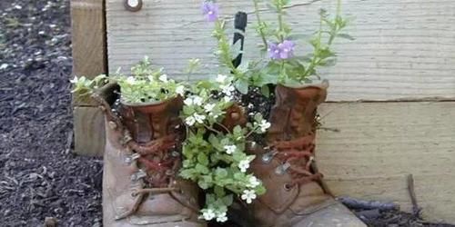 将这些“资源”变成养花利器，有趣又实用！你学会变通了吗？