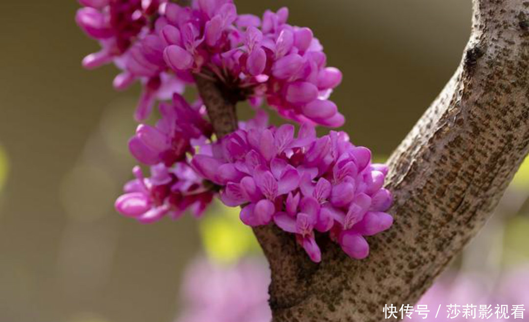 夏云多|陶渊明这首诗娓娓道来,每一句都如诗如画,同时还充满了哲理!