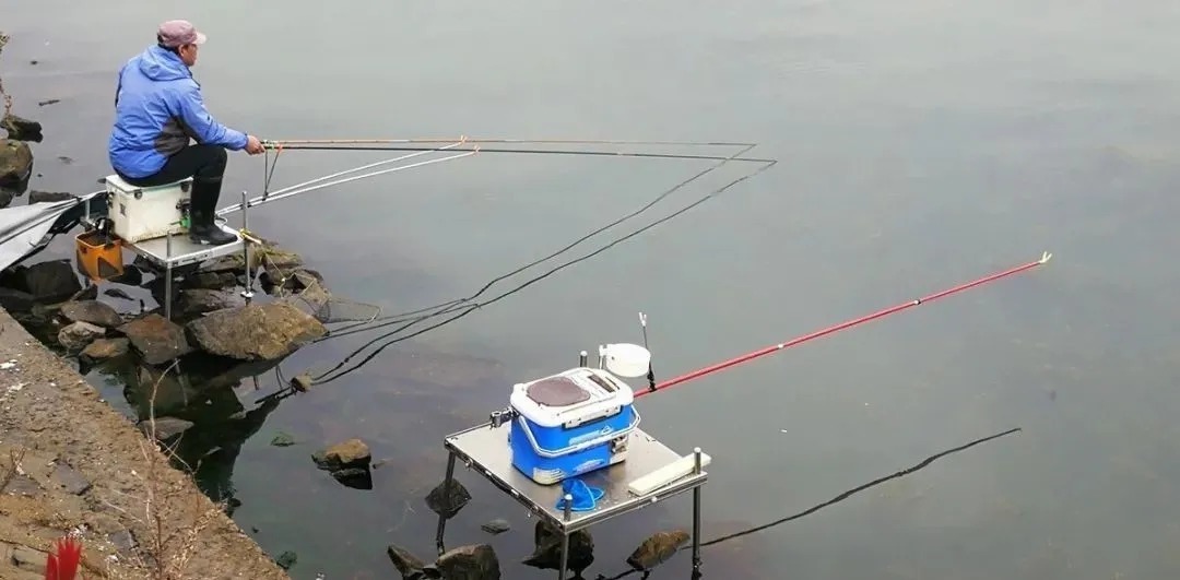 冬季钓鲫鱼,为什么鱼情差?这5个常识性的错误,总有一款适合你