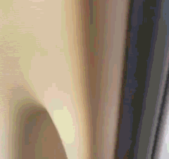 |搞笑GIF:每一位胖姑娘都是有非常大的潜力的,不过感觉这两位新人不太般配