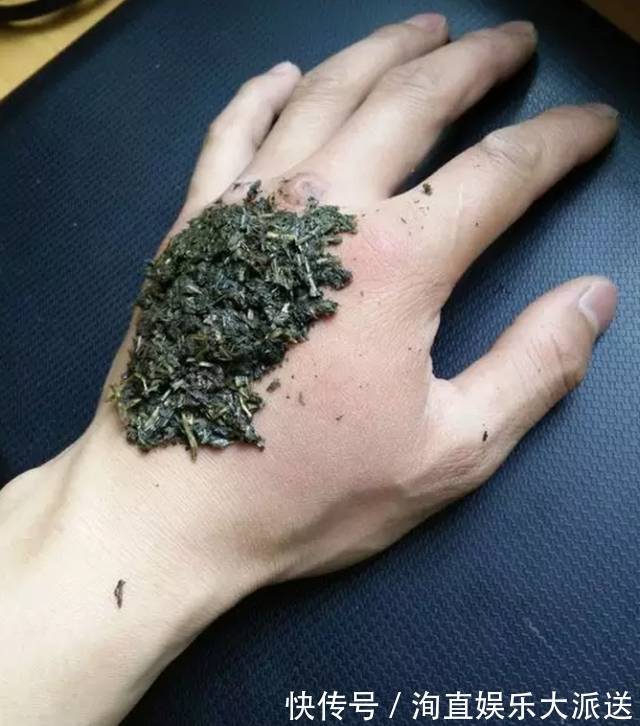 肠炎者|自己“晒干”的蒲公英，能当茶泡水喝吗有什么“禁忌”吗