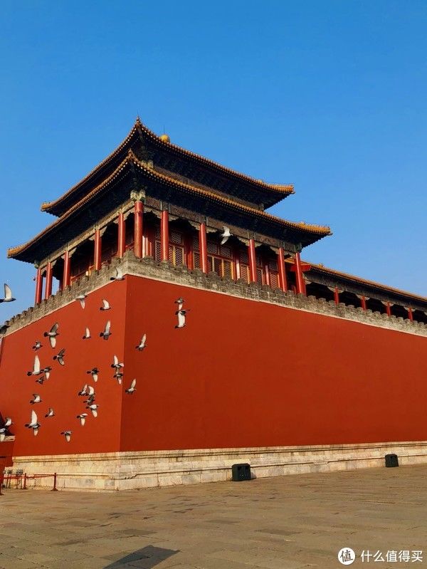 度过|2020年,读过的书,度过的时光