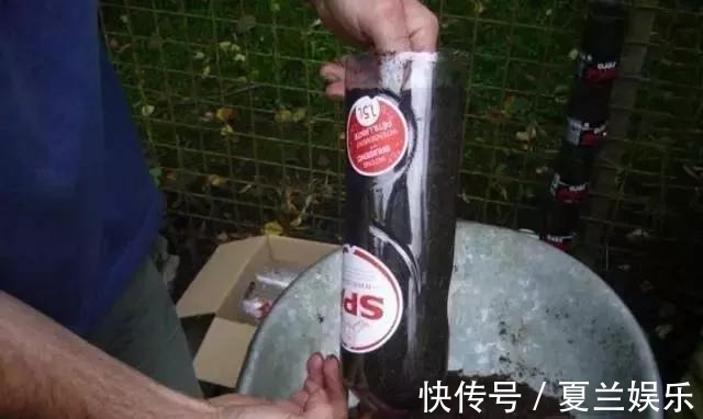 捡回7个塑料瓶,养成空中菜园,变废为宝,吃上绿色蔬菜