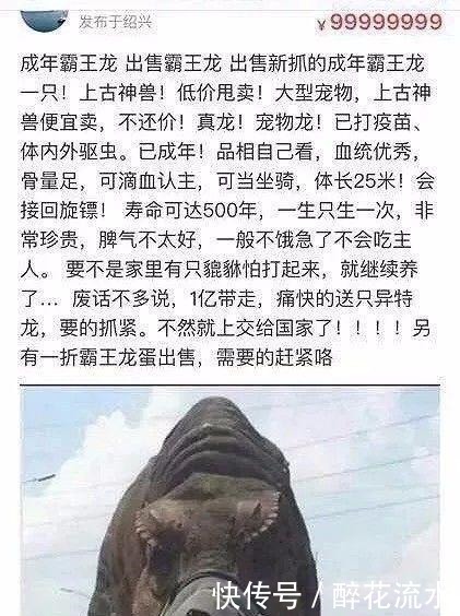 网站|二手网站“魔鬼”卖家，教科书式搞笑