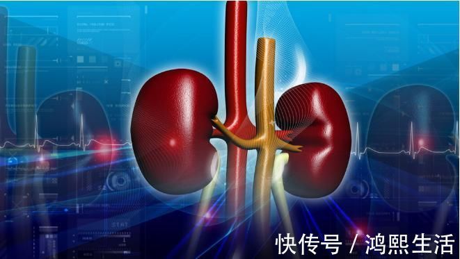 血尿|注意,8个部位疼痛或跟肾病有关,及早抓出隐藏在背后的肾病